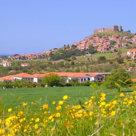 Elea Houses Mithimna Dış mekan fotoğraf