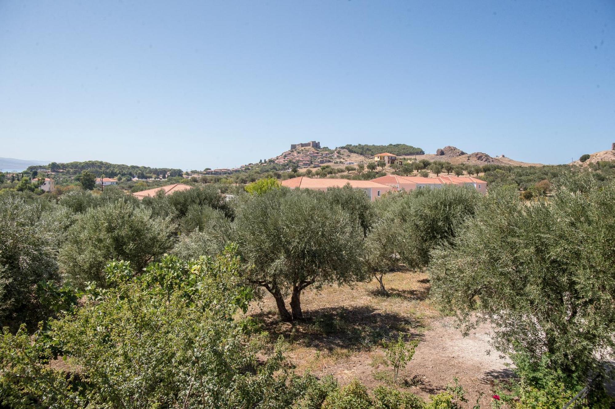 Elea Houses Mithimna Dış mekan fotoğraf