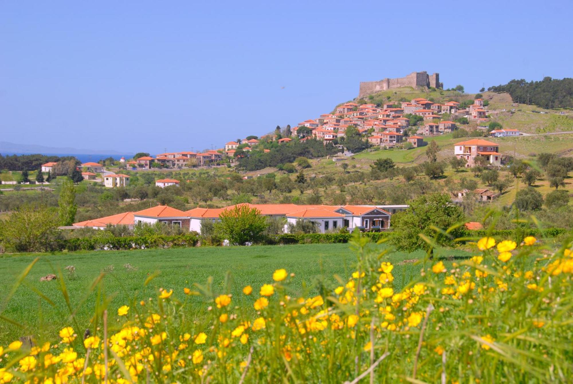 Elea Houses Mithimna Dış mekan fotoğraf